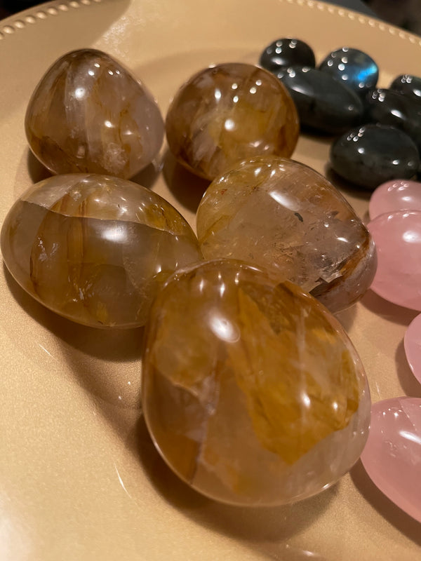 Golden Healer Palm stones (Large)